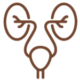 Urology